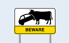 beware of cows road sign, Australia