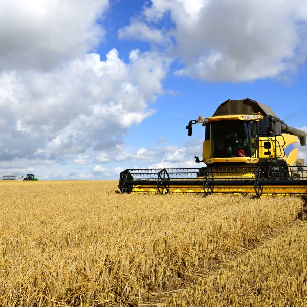 Combine Harvester and Tractor in Barley Field during Harvest